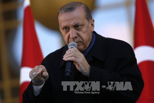 Анкара возмутилась критикой наблюдателей от ОБСЕ на референдуме  - ảnh 1